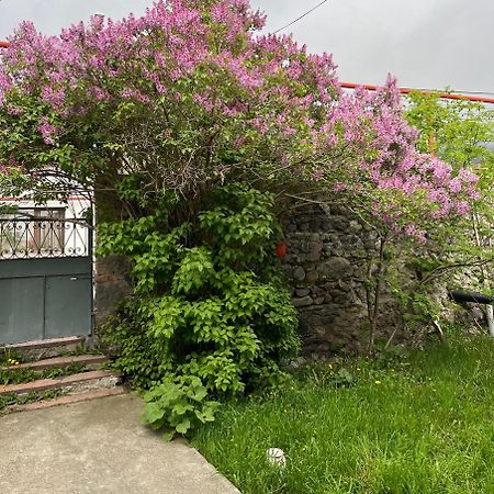 Soso Burduli'S Guesthouse Kazbegi Eksteriør bilde