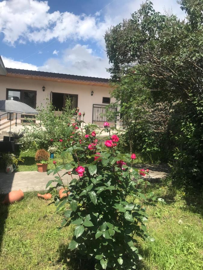 Soso Burduli'S Guesthouse Kazbegi Eksteriør bilde