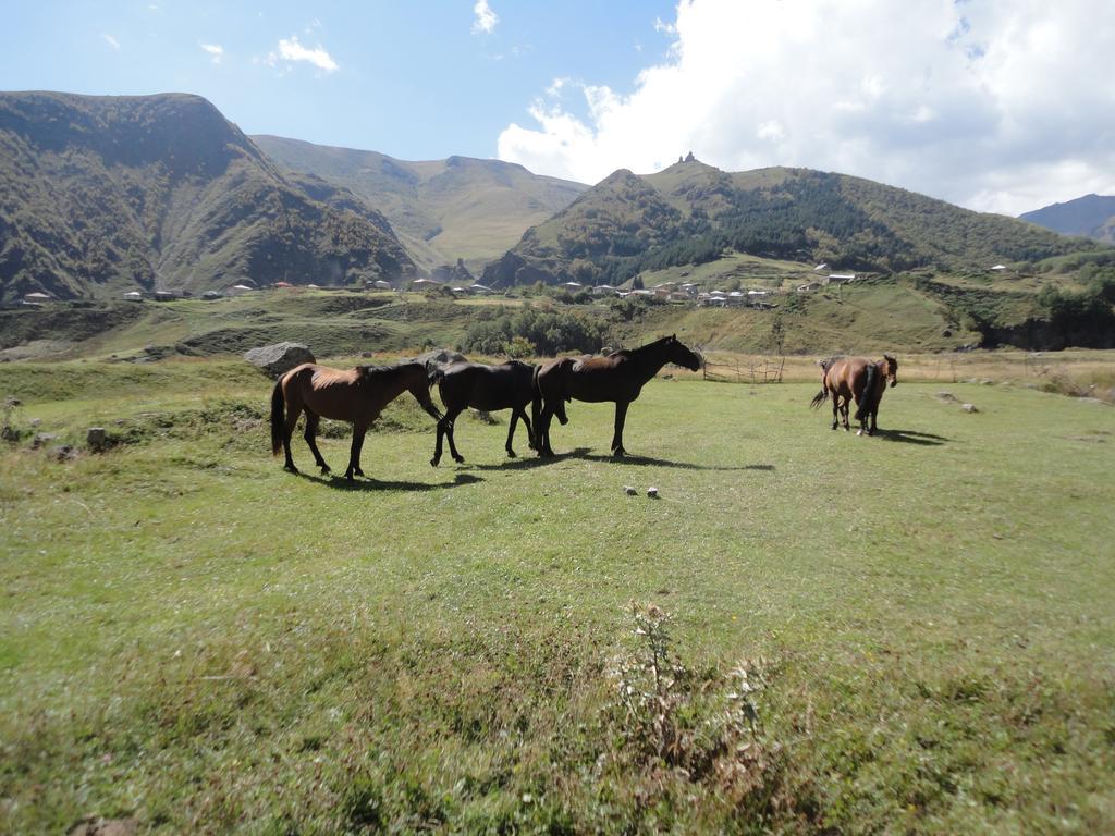 Soso Burduli'S Guesthouse Kazbegi Eksteriør bilde