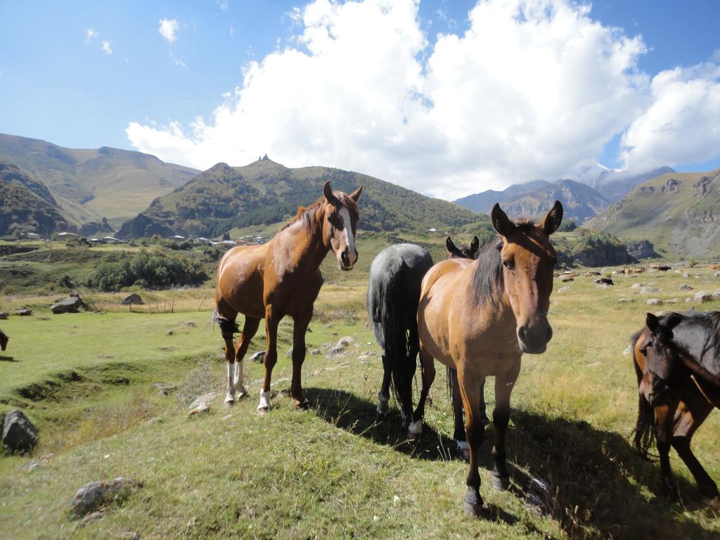 Soso Burduli'S Guesthouse Kazbegi Eksteriør bilde