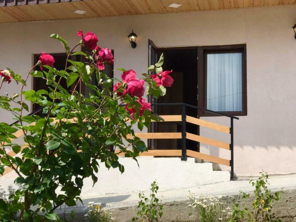 Soso Burduli'S Guesthouse Kazbegi Eksteriør bilde